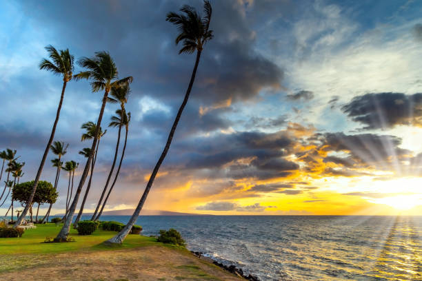 istock The sea breeze. Maui Island 2192029268