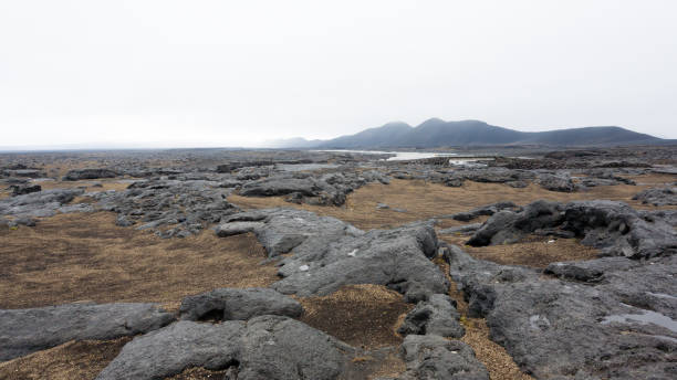istock Central Iceland landscape along the road to Askja 2192030088