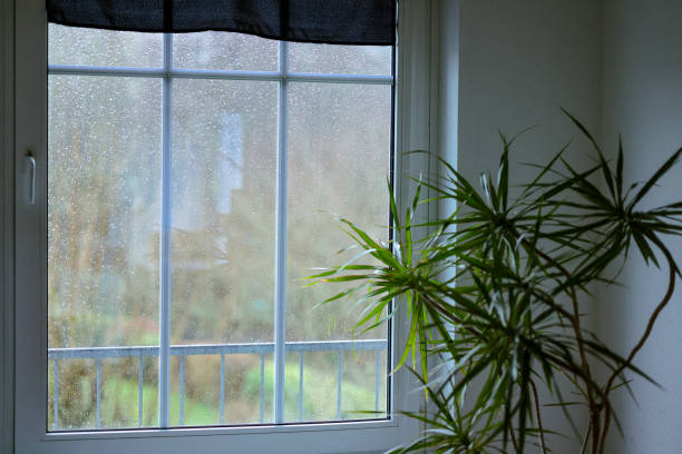 Happy New Year from Schenefeld, Germany! Rainy day, raindrops against window. Living room.