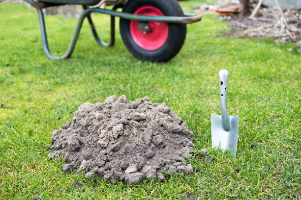 istock what now, molehill in the garden 2192034180