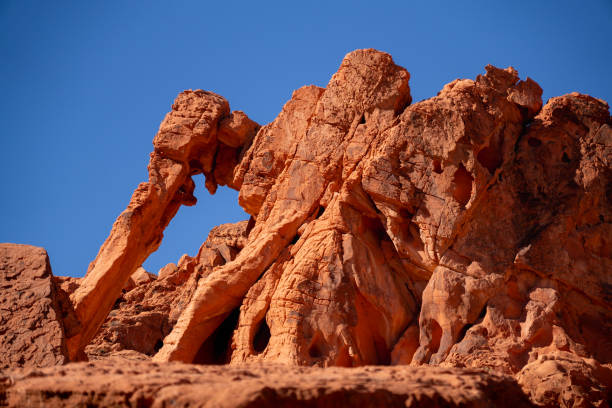 Elefant Rock in Valley of Fire is a famous rock formation imitating an elephant in one of the state parks in Nevada. Elefant Rock - famous rock formation imitating an elephant in Valley of Fire - one of the state parks in Nevada. One of the highlights of our travel through the western states of the USA. elefant stock pictures, royalty-free photos & images