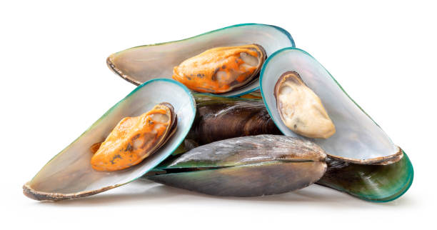 istock Front view of cooked or steamed green mussels in stack isolated on white background with clipping path 2192035393