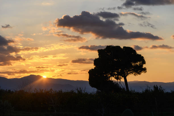 Golden sun sets behind mountains, casting shadows of a lone tree amidst vibrant clouds and tranquil landscape.