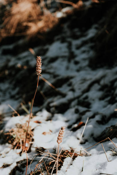 Photography on the Mazzaca trail in Italy