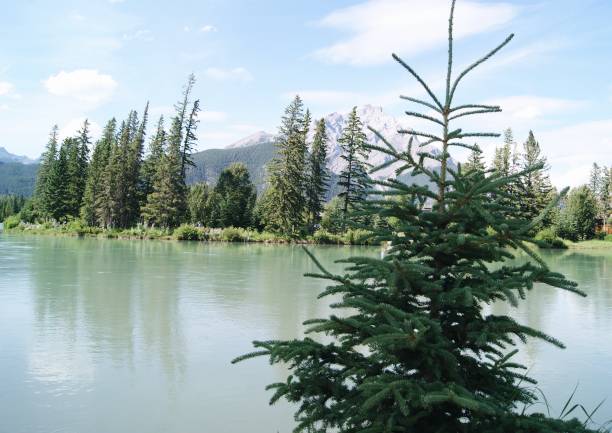 Beautiful nature scene lake and mountains shot in Canada Rocky Mountains
