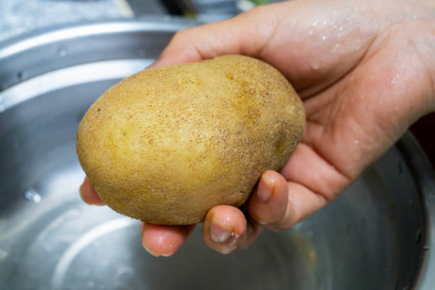 food ingredient for egg sandwich