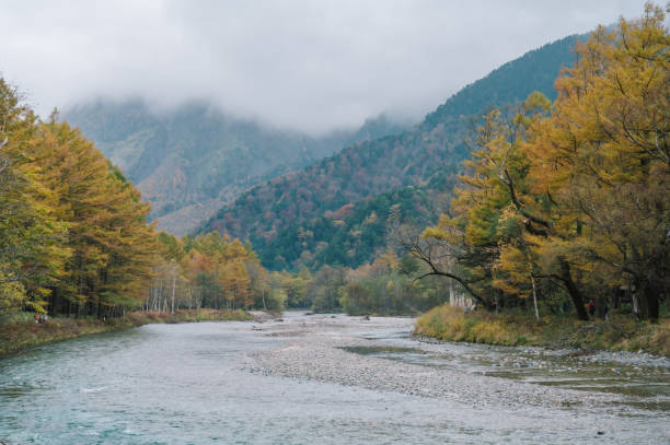 istock A river meanders gently through a scenic valley, bordered by trees showcasing autumn’s vibrant hues Kamikochi matsumoto Japan 2192039773
