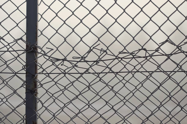 Metal link fence with wire