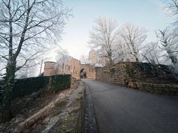 istock frozen trees at castle of old Eberstein 2192044197