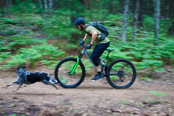 istock Mountain Bike Dog Ride 2192044532