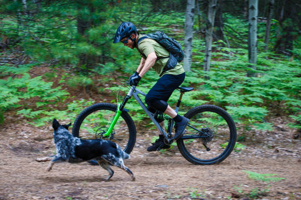 istock Mountain Bike Dog Ride 2192044533