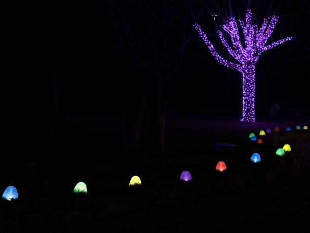 istock Holiday lights on trees and lining a walkway 2192045469
