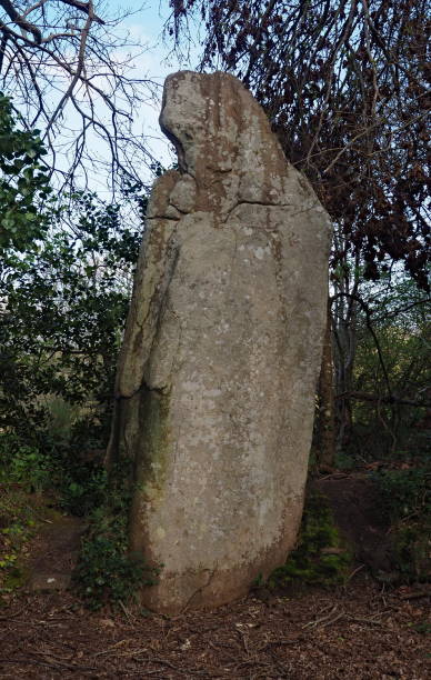 istock Pierre de la Bonne-Femme menhir 2192045734