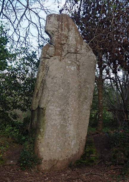 istock Pierre de la Bonne-Femme menhir 2192045737