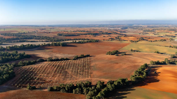 Aerial view of colorful crop fields in Cuenca province