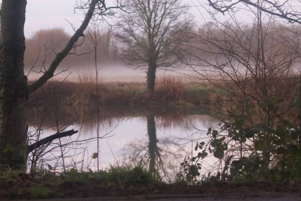 istock Tree reflection on lake during a foggy morning 2192050670