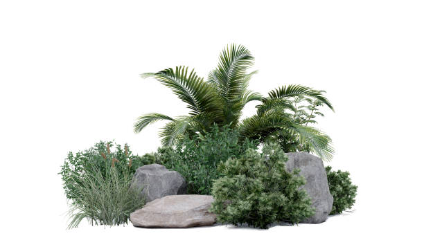 istock vegetation nature plant green natural environment foliage background 3d render. 2192051955
