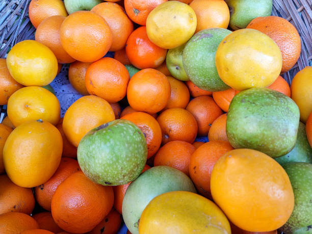 Autumn Harvest; Baskets of Fresh Fruit