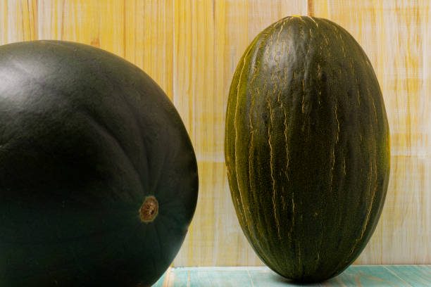 Studio shot of a mediterranean melon and a black watermelon standing upright on a colorful table against a yellow wooden background