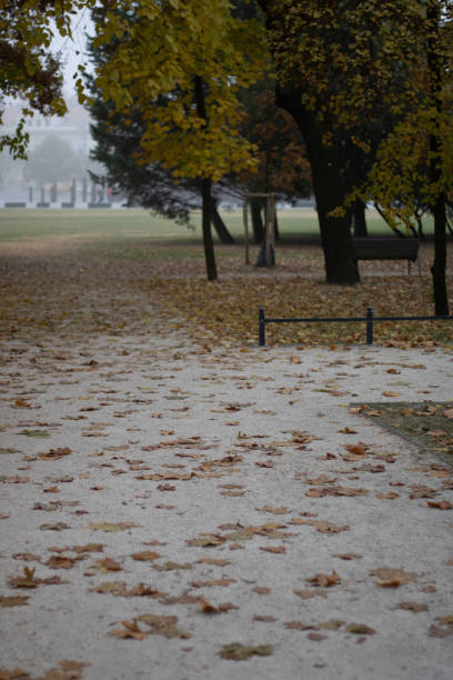 istock autumn park path covered in fallen leaves 2192058606