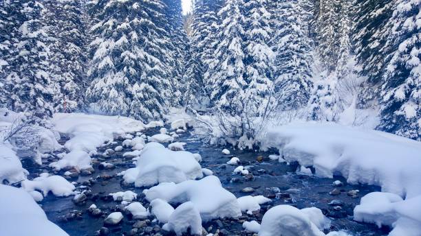 istock Snow covered field with trees and flowing water 2192058685