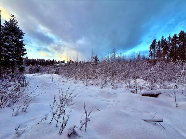 Colorful landscape with snowy trees, beautiful frozen river with reflection in water. Winter landscape