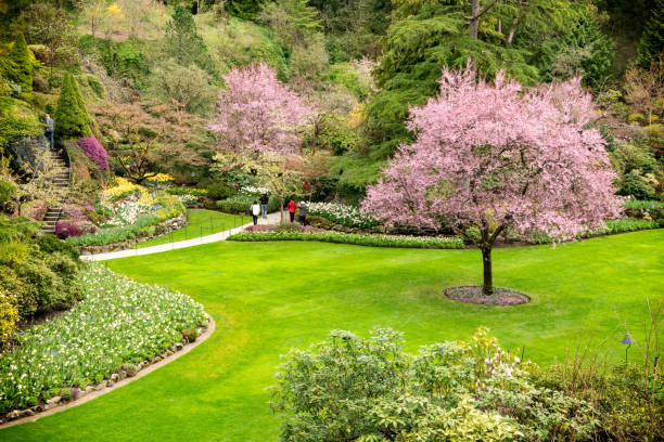 Spring at Butchart Gardens; Victoria; Vancouver Island; BC Canada