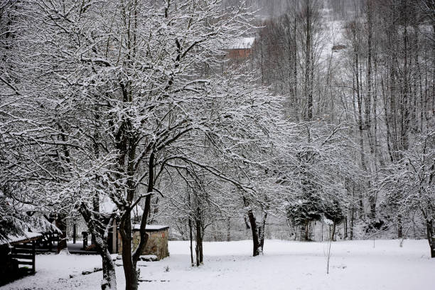 Winter mood