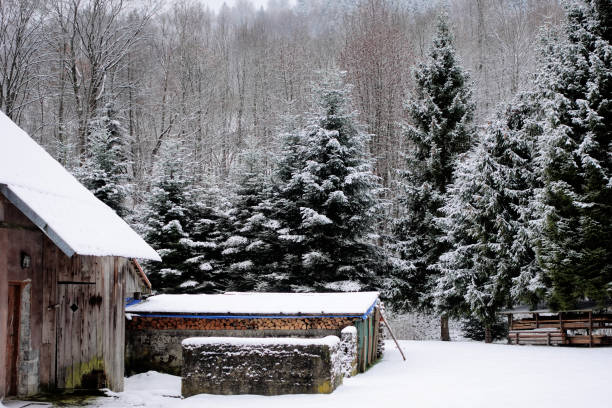 A scenic view of a snow-covered rural area featuring a rustic barn, evergreen trees, and a peaceful winter forest setting.