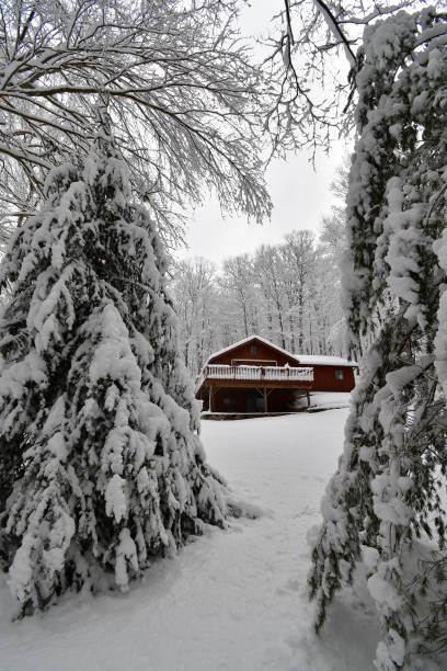 Country house in snow, located in Washington, Connecticut, an affluent small town in the Litchfield Hills, where many New Yorkers have weekend homes. Photographed on March 8, 2018 during a nor'easter that brought heavy snow. The trees in the foreground are a white spruce (left) and an eastern white pine (right). The house, owned by the photographer, is on a dirt road designated by the town as scenic. Washington is 75 miles from New York City (as the crow flies). Snowy winters here are becoming less common due to climate change.