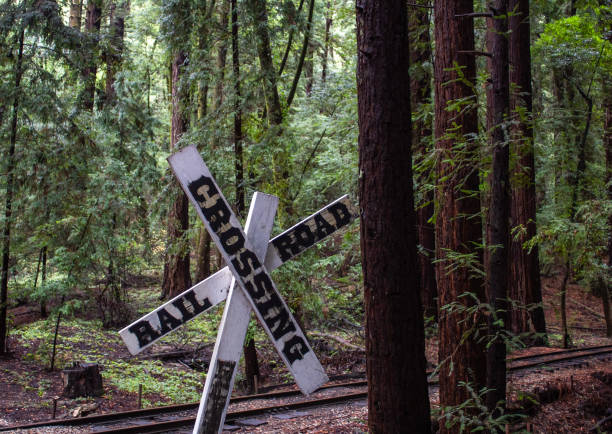 Hiking in Santa Cruz Mountains California