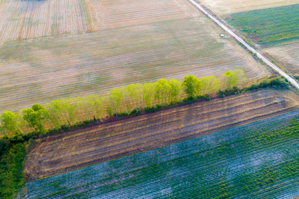 autumn agricultural fields at sunset, aerial view from a drone