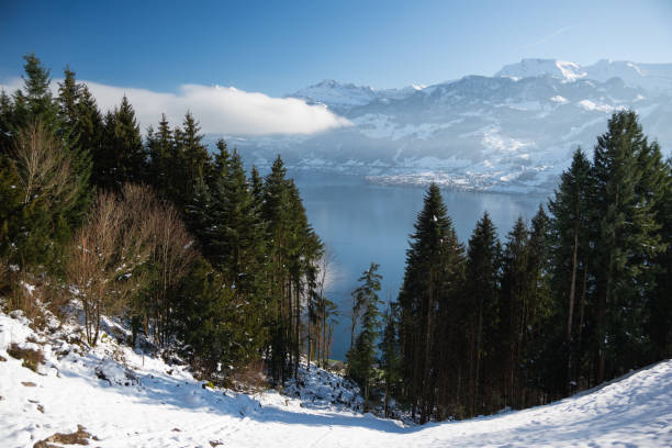 istock Scenic Lake and Mountain View with Snowy Forested Slope 2192080017
