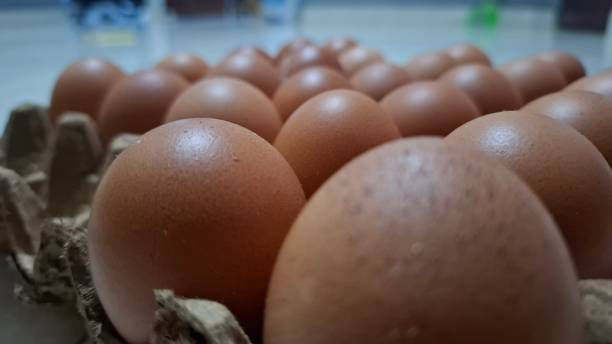 istock a collection of eggs placed in a container with a blurry background 2192082770