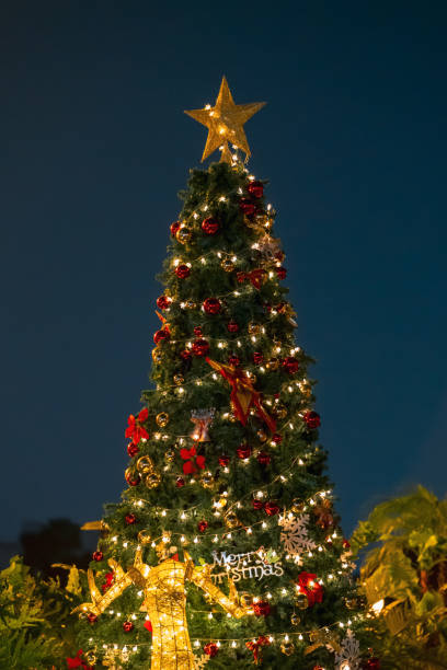istock Christmas trees filled with decorations and lights 2192085056