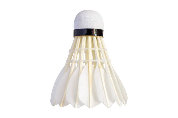 istock Shuttlecock isolated on white background. Badminton ball. 2192085254
