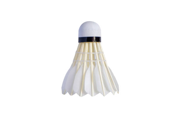 istock Shuttlecock isolated on white background. Badminton ball. 2192085280