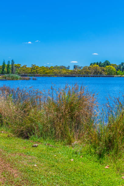 istock A Summer's day at Lake Canobolas 2192087716