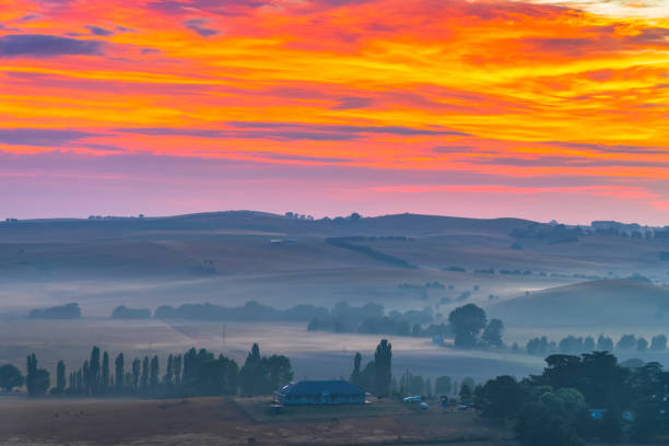 Red sky in silhouettes in the foreground