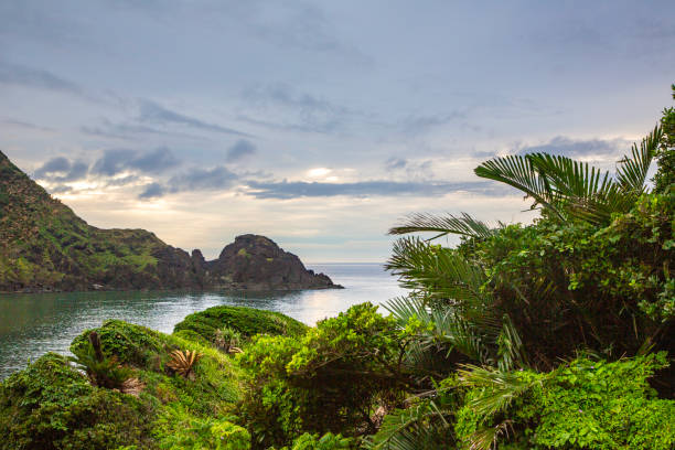 istock Amami Oshima, calm sea 2192095461