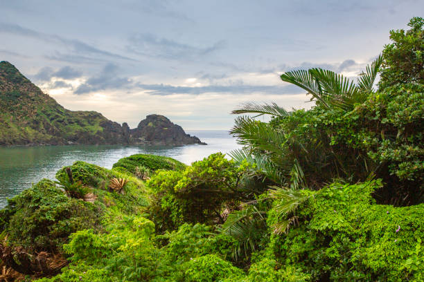 istock Amami Oshima, calm sea 2192095474