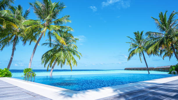 istock Infinity swimming pool with sea view on tropical island resort 2192095783