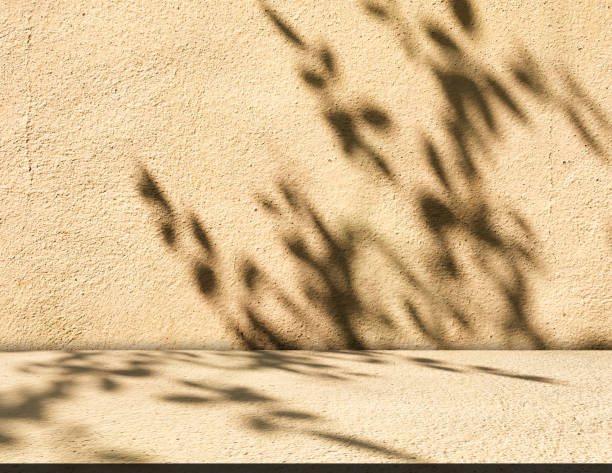 istock Orange background beige studio room abstract shadow on wall floor blur cement, podium minimal cosmetic presentation, cement empty backdrop platform stage table loft scene mockup podium plant. 2192097328