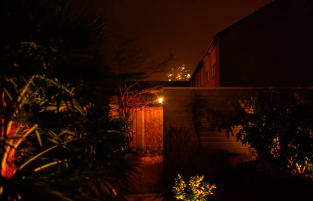 istock Colorful fireworks exploding in the night sky seen from an illuminated garden 2192099706