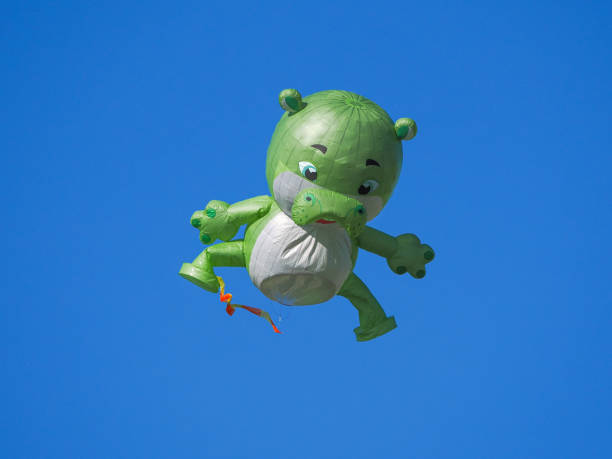 hot air balloons on sunny day