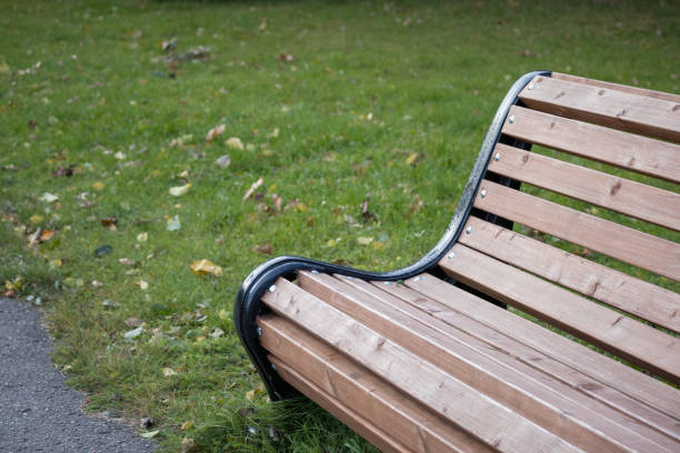 A wooden bench with metal side elements placed on a green lawn next to a paved path.