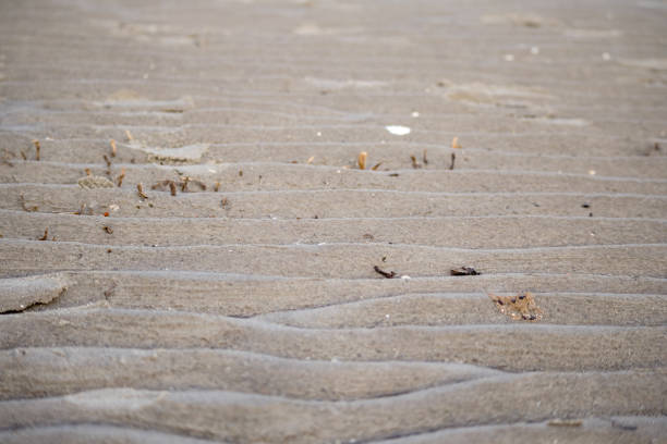 Windblown waves of sand on the beach