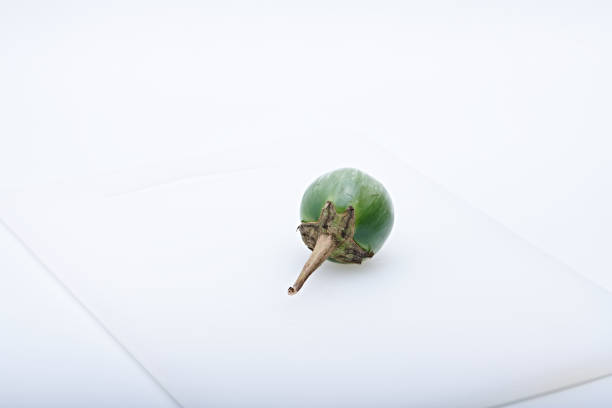 Fresh vegetables for cooking or eating raw are placed on a tray or place to be photographed with a light background.