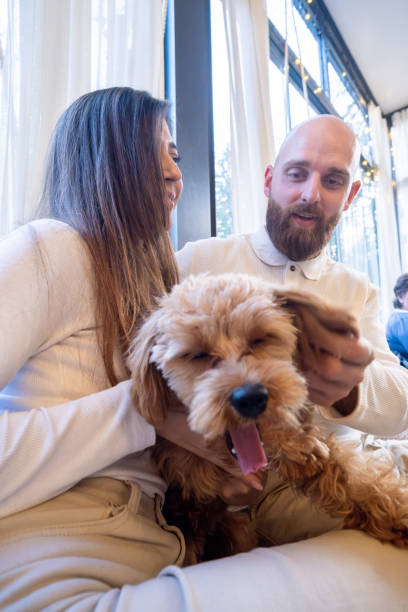 istock A cheerful young family with their pet Cavapoo dog in a cafe. 2192102792