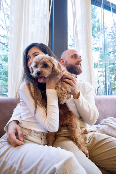 istock A cheerful young family with their pet Cavapoo dog in a cafe. 2192102812